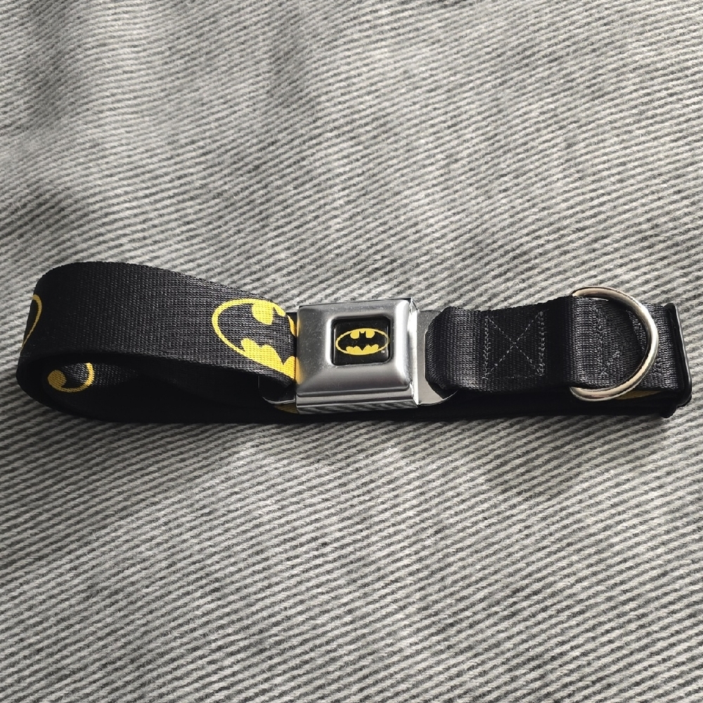 Large Dog Collar With Batman Logo